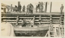 Image of Unloading codfish from boats
